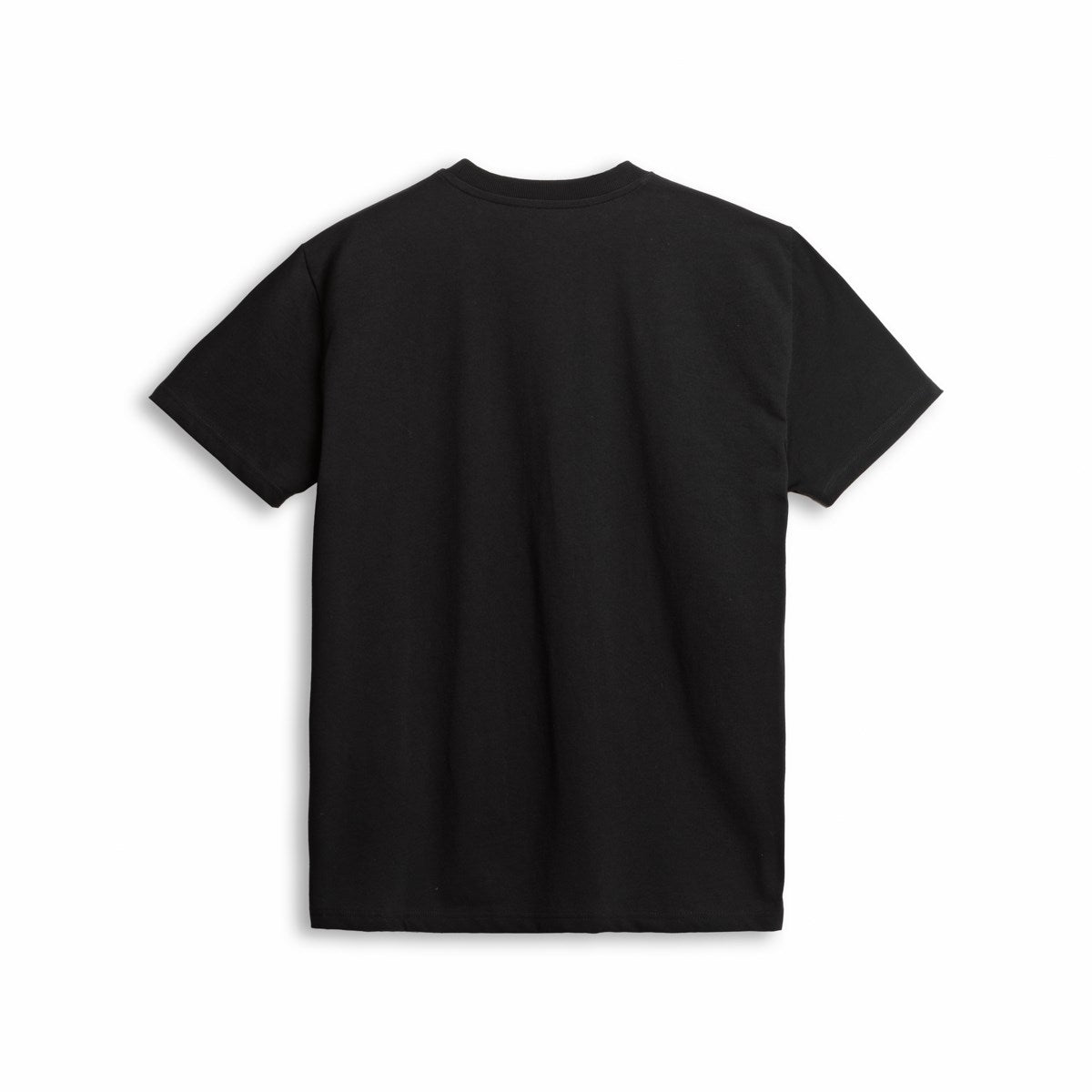 CAMISETA D CRUISER